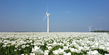 Windkraftwerk auf einer Blumenwiese.